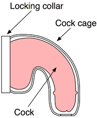 Click for full-size image and license information