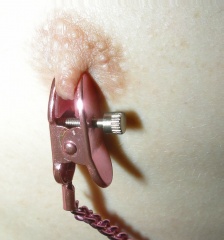 Nipple Clamp Closeup.jpg