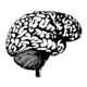 Human Brain Symbol.png