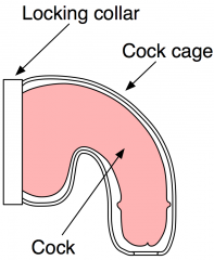 Cock cage.png